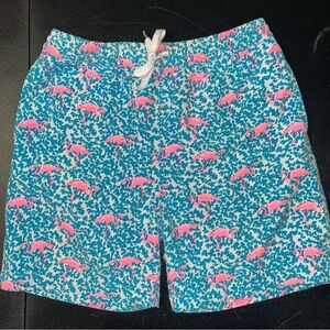 Chubbies flamingo swim trunks